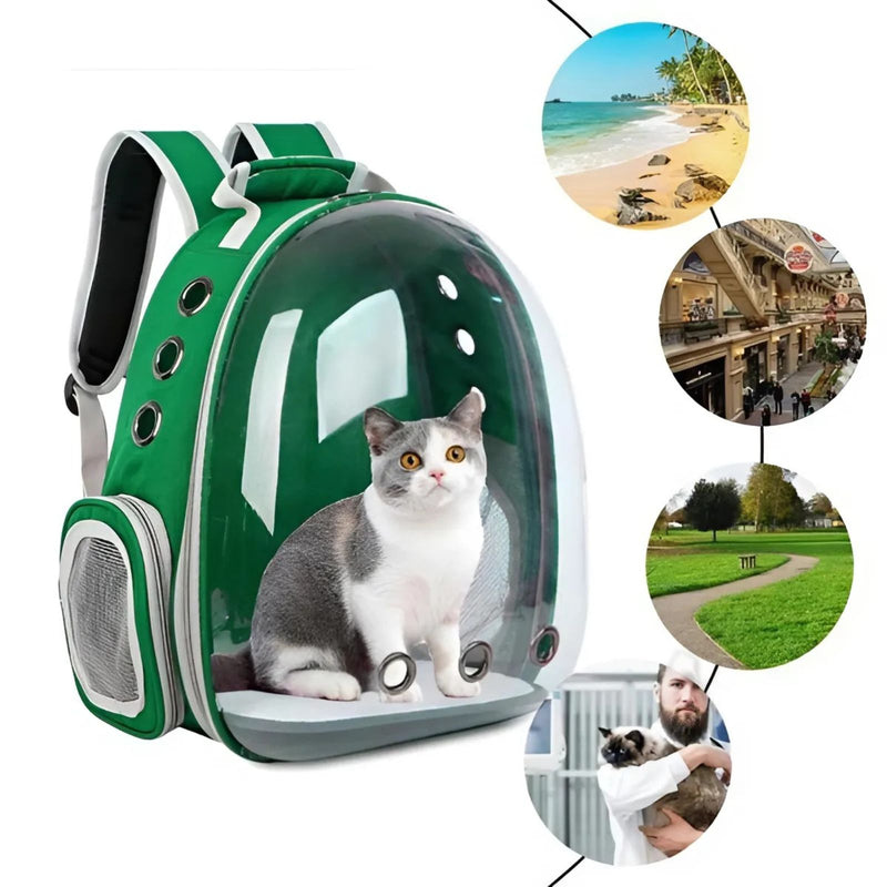 Mochila Pet Para Transporte De Cães E Gatos Visão Panorâmica